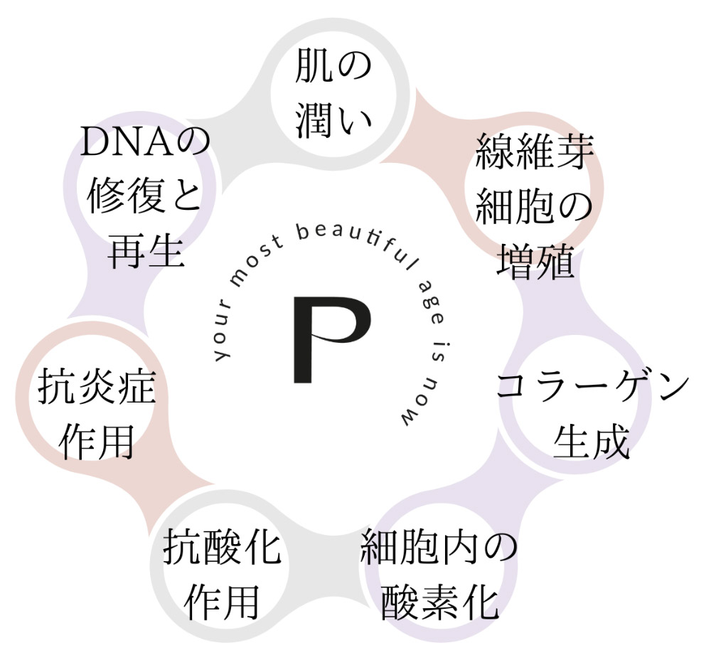 プルリアルデンシフィアとは？