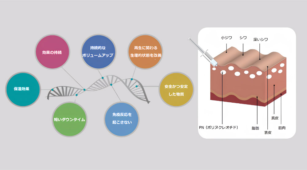 リジュラン®注射の特長